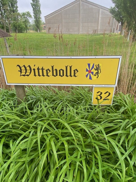 Wittebolle